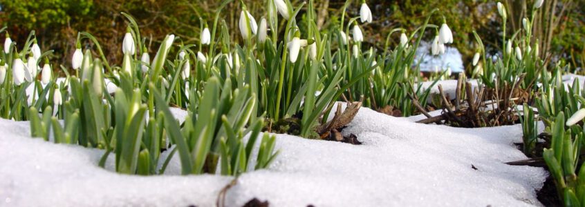 Prachtig winter wonderland in mijn tuin…